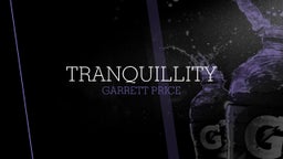 Garrett Price's highlights Tranquillity