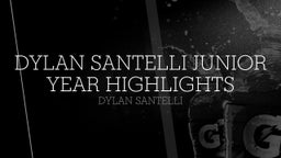 Dylan Santelli Junior Year Highlights 