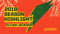 2018 Season Highlight 