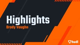 Highlights