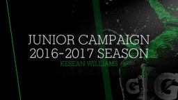 Junior Campaign 2016-2017 Season