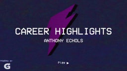 Career highlights 