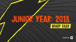 Junior Year: 2018