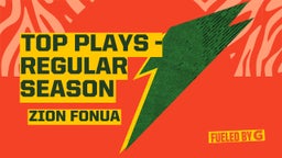 Top plays -regular season 