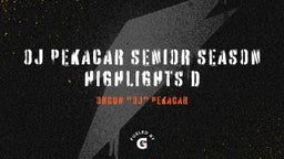 OJ Pekacar Senior Season Highlights D