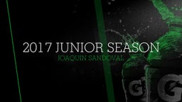 2017 Junior Season 