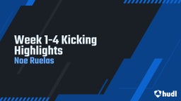 Week 1-4 Kicking Highlights 