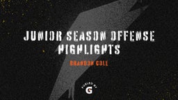 Junior season offense highlights