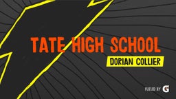 Dorian Collier's highlights Tate High School