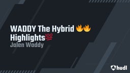 WADDY The Hybrid ????Highlights??