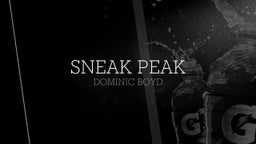 Sneak Peak