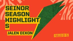 seinor season highlights