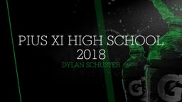 Dylan Schuster's highlights Pius XI High School 2018