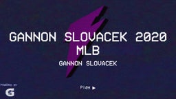 Gannon Slovacek 2020 MLB 