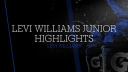 Levi Williams Junior Highlights