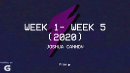 week 1- week 5 (2020)