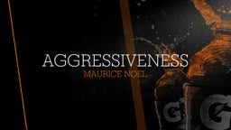  Aggressiveness