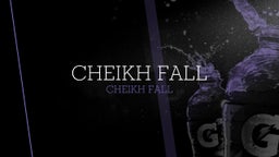 Cheikh fall