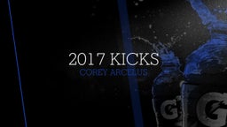 2017 Kicks