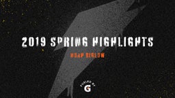 2019 Spring Highlights