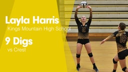 9 Digs vs Crest