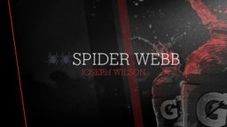 ????spider Webb 