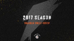 2017 season