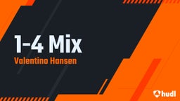 1-4 Mix