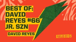 BEST OF: David Reyes #66 JR. Szn 