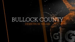 Demetrum Nelms's highlights Bullock County