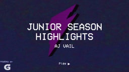 junior season highlights
