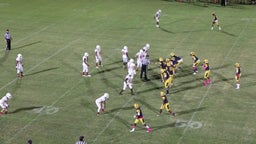 Kyren Taylor's highlights Northeast High School