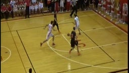 St. Henry basketball highlights vs. Coldwater