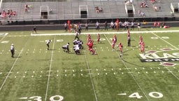 Pacelli football highlights Dodgeland High School