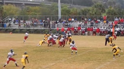 Tampa Bay Tech football highlights vs. Blake