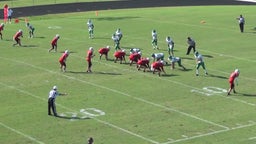 Hickman County football highlights Houston County High School