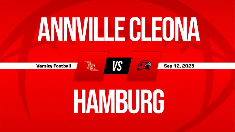 Video player poster image