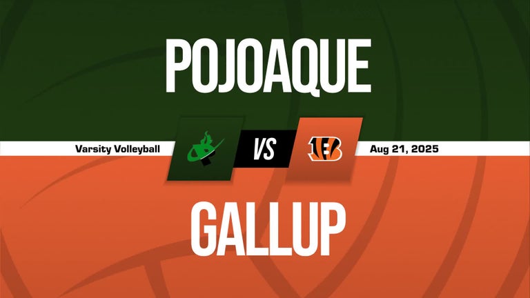 Video player poster image