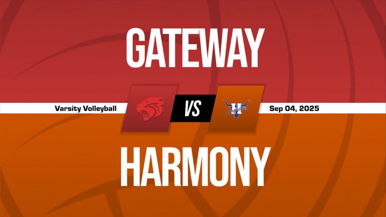 Video player poster image