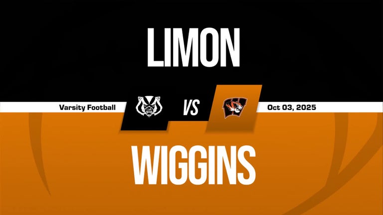 Video player poster image