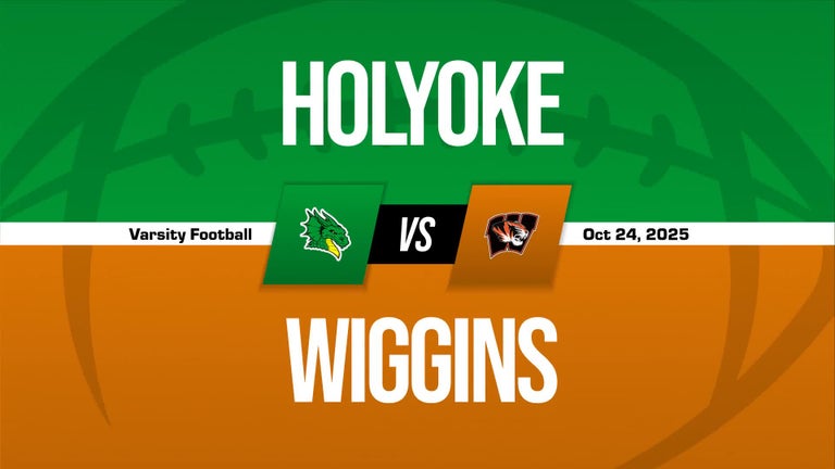 Video player poster image