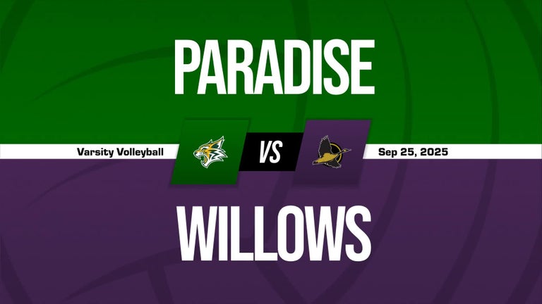 Video player poster image