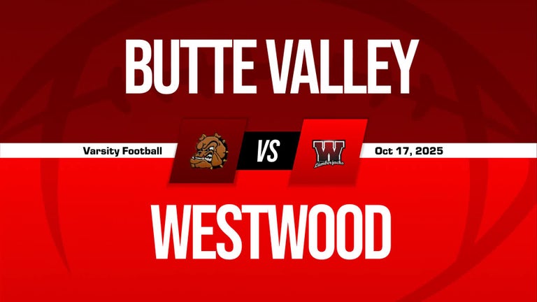 Video player poster image