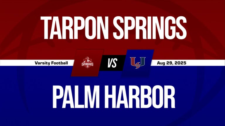 Video player poster image