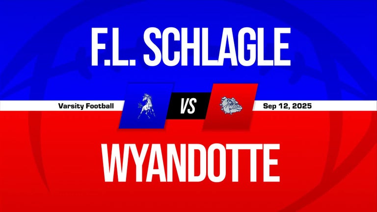 Video player poster image