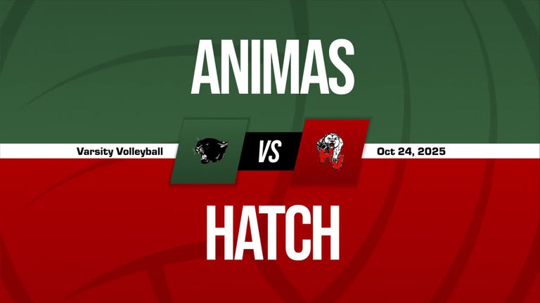 Video player poster image