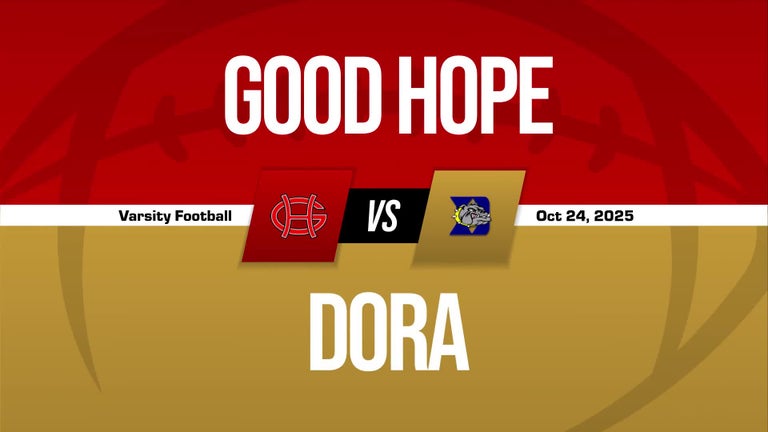 Video player poster image