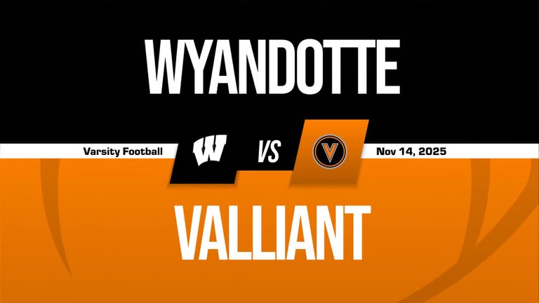 Video player poster image