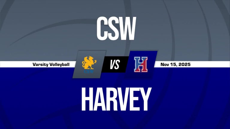 Video player poster image