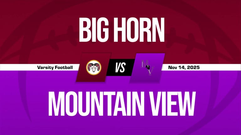 Video player poster image